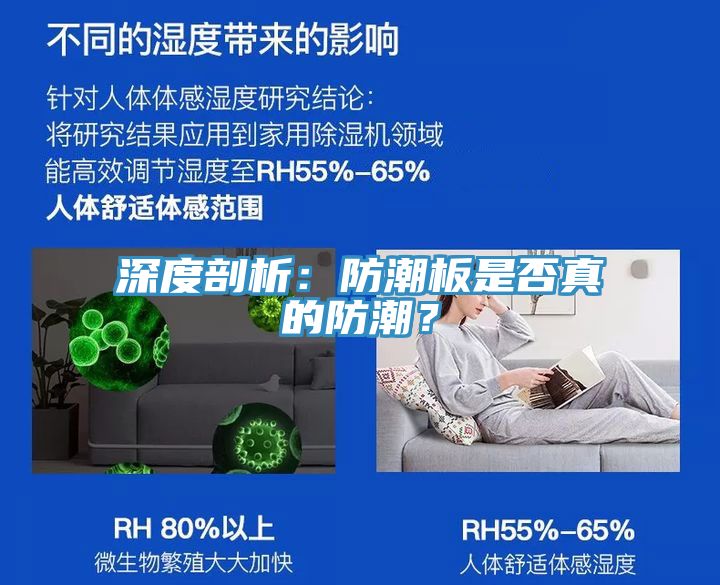 深度剖析：防潮板是否真的防潮？