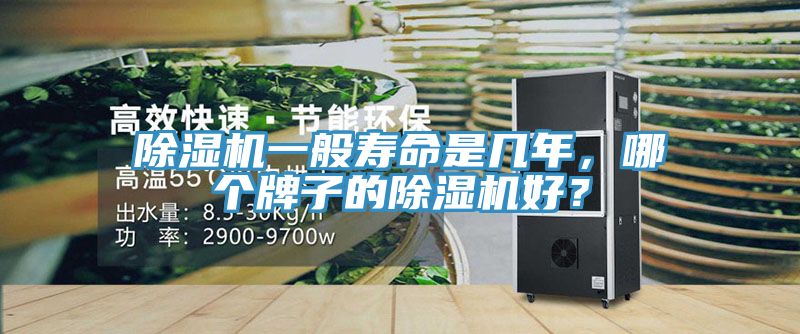 除湿机一般寿命是几年，哪个牌子的除湿机好？
