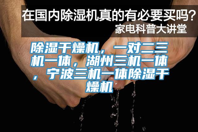除湿干燥机，一对二三机一体，湖州三机一体，宁波三机一体除湿干燥机