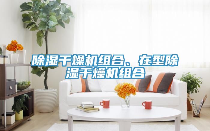除湿干燥机组合、在型除湿干燥机组合