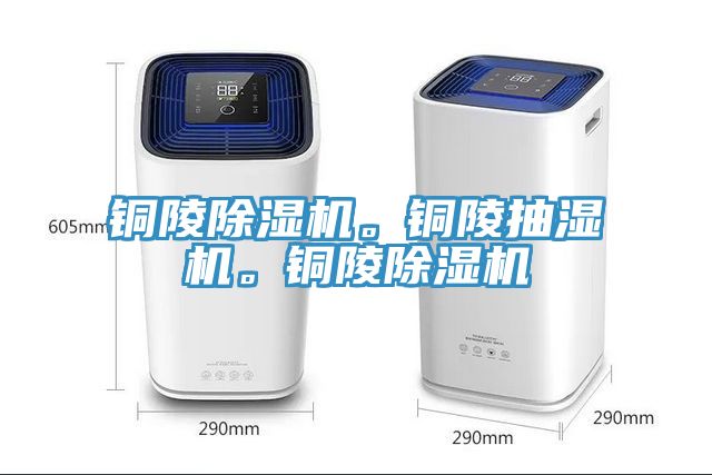 铜陵除湿机。铜陵抽湿机。铜陵除湿机