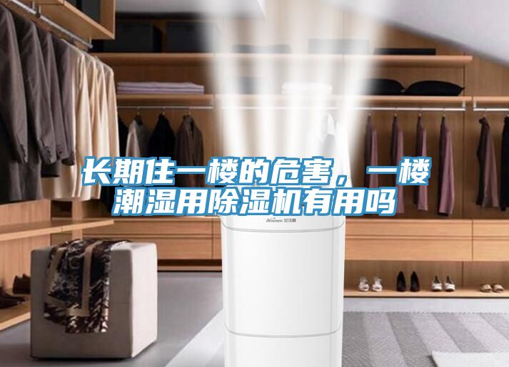 长期住一楼的危害，一楼潮湿用除湿机有用吗