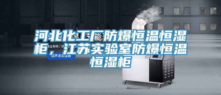 河北化工厂防爆恒温恒湿柜，江苏实验室防爆恒温恒湿柜