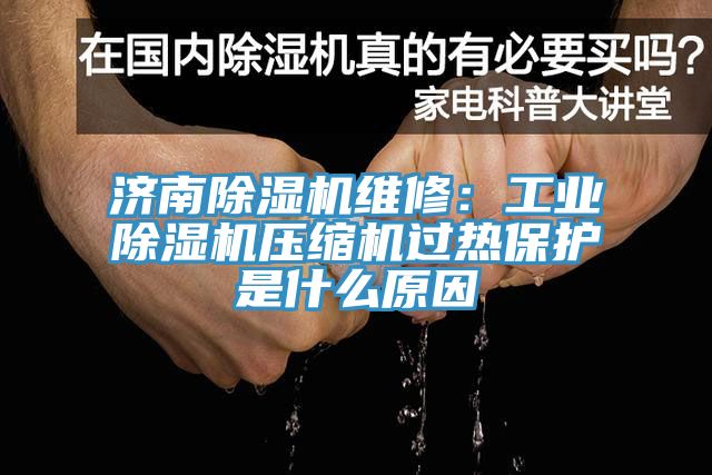济南除湿机维修：工业除湿机压缩机过热?；な鞘裁丛?></div>
								<div class=