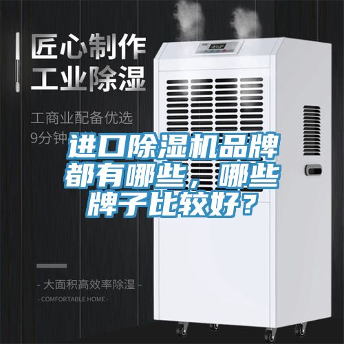 进口除湿机品牌都有哪些，哪些牌子比较好？