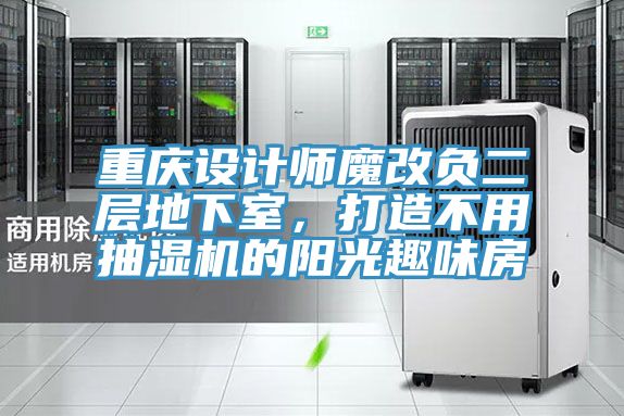 重庆设计师魔改负二层地下室，打造不用抽湿机的阳光趣味房
