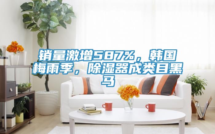 销量激增587%，韩国梅雨季，除湿器成类目黑马