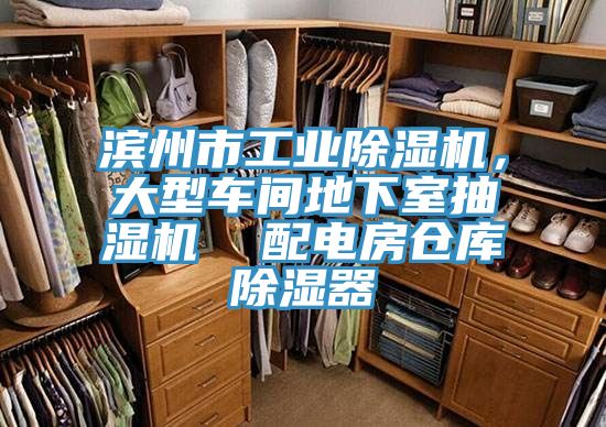 滨州市工业除湿机，大型车间地下室抽湿机  配电房仓库除湿器