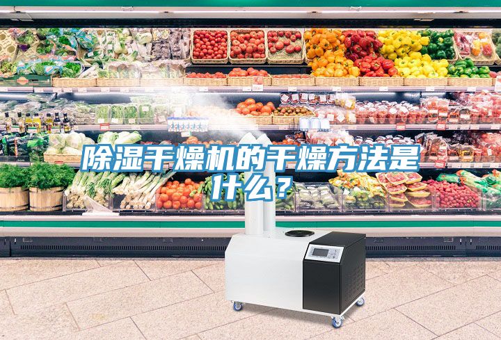 除湿干燥机的干燥方法是什么？