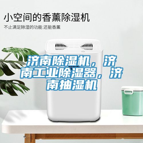济南除湿机，济南工业除湿器，济南抽湿机
