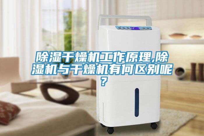除湿干燥机工作原理,除湿机与干燥机有何区别呢？