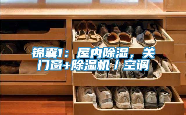 锦囊1：屋内除湿，关门窗+除湿机／空调