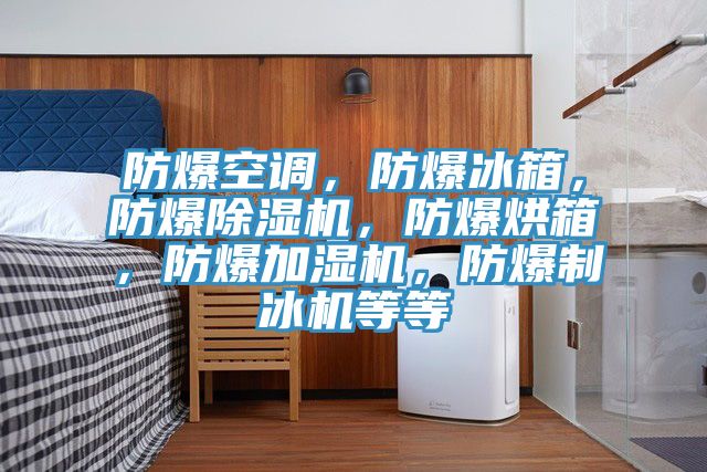 防爆空调，防爆冰箱，防爆除湿机，防爆烘箱，防爆加湿机，防爆制冰机等等