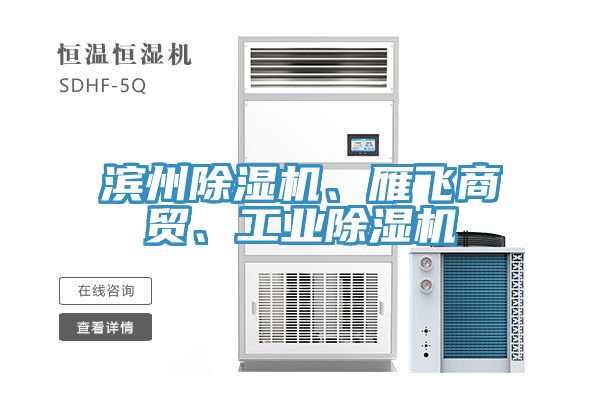 滨州除湿机、雁飞商贸、工业除湿机
