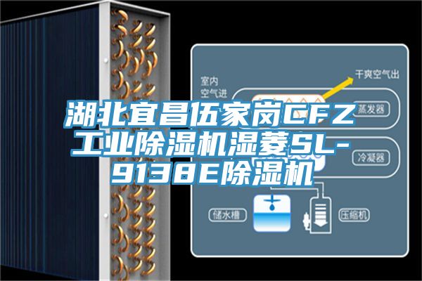 湖北宜昌伍家岗CFZ工业除湿机湿菱SL-9138E除湿机