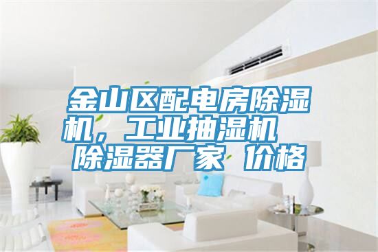 金山区配电房除湿机，工业抽湿机  除湿器厂家 价格