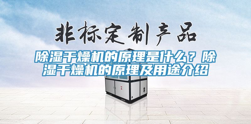 除湿干燥机的原理是什么？除湿干燥机的原理及用途介绍