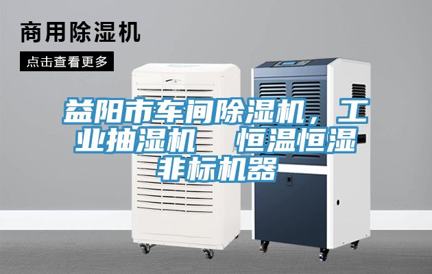 益阳市车间除湿机，工业抽湿机  恒温恒湿非标机器