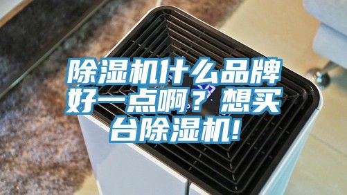 除湿机什么品牌好一点??？想买台除湿机!