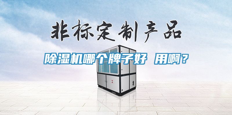 除湿机哪个牌子好 用??？