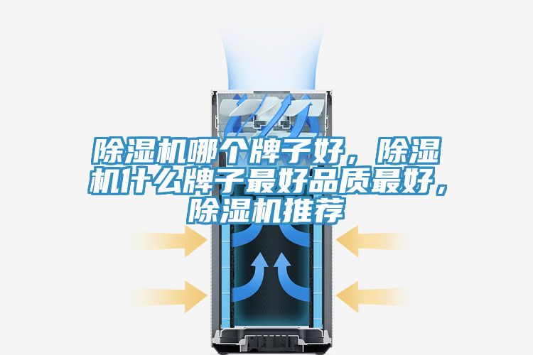 除湿机哪个牌子好，除湿机什么牌子最好品质最好，除湿机推荐