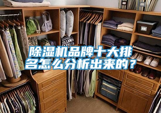 除湿机品牌十大排名怎么分析出来的？