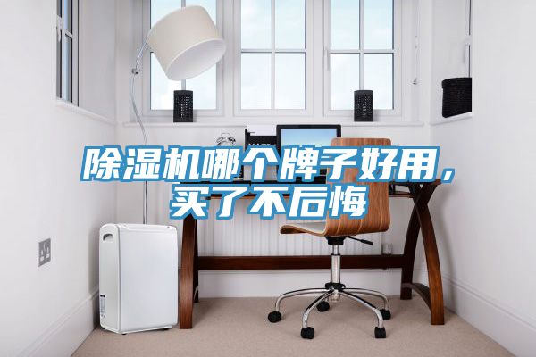 除湿机哪个牌子好用，买了不后悔