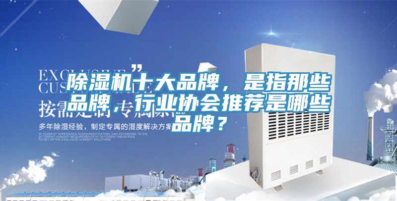 除湿机十大品牌，是指那些品牌，行业协会推荐是哪些品牌？
