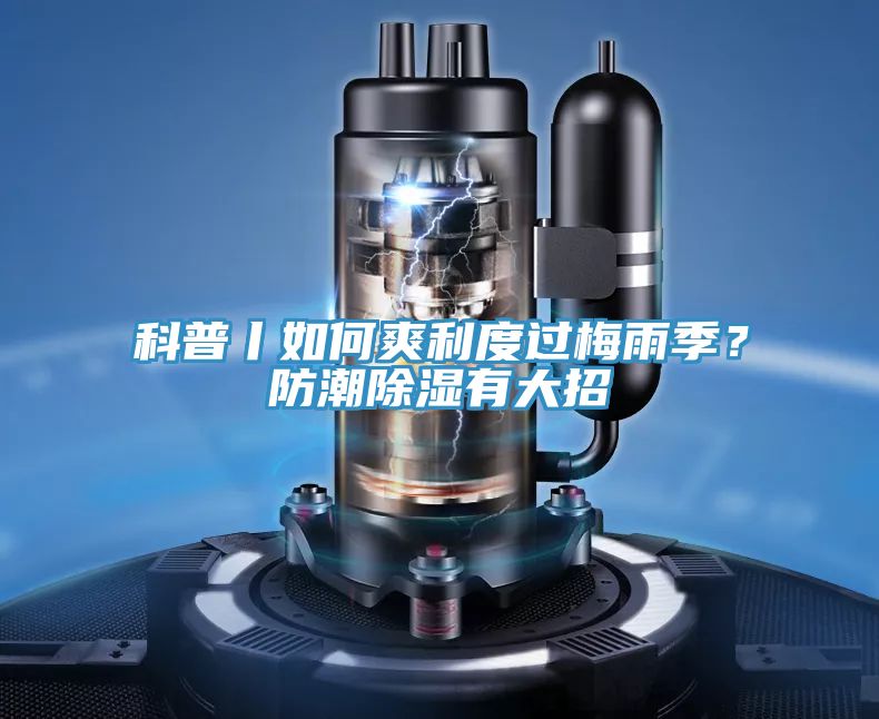 科普丨如何爽利度过梅雨季？防潮除湿有大招
