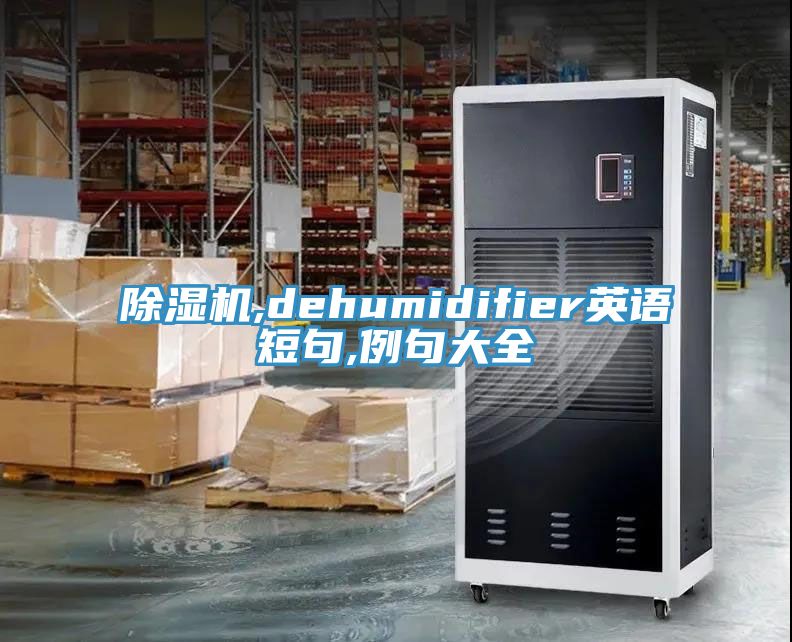 除湿机,dehumidifier英语短句,例句大全