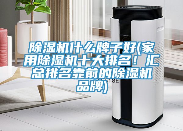 除湿机什么牌子好(家用除湿机十大排名！汇总排名靠前的除湿机品牌)