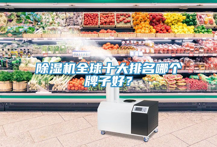 除湿机全球十大排名哪个牌子好？
