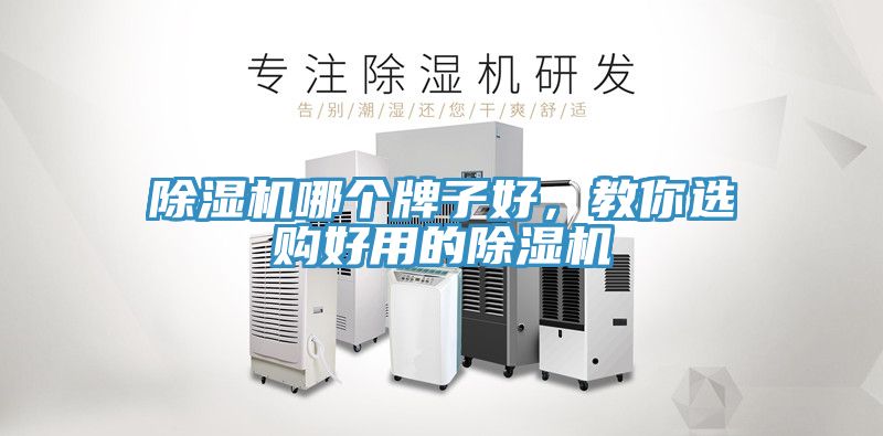 除湿机哪个牌子好，教你选购好用的除湿机