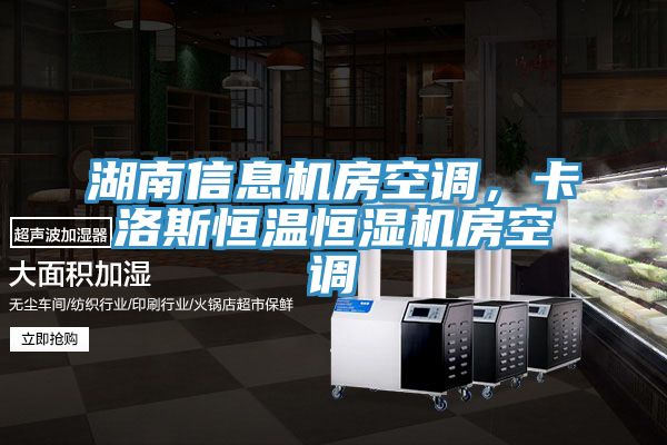 湖南信息机房空调，卡洛斯恒温恒湿机房空调