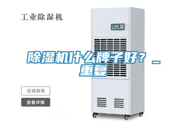 除湿机什么牌子好？_重复