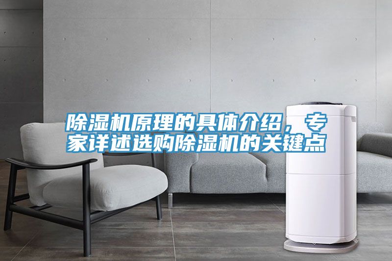 除湿机原理的具体介绍，专家详述选购除湿机的关键点