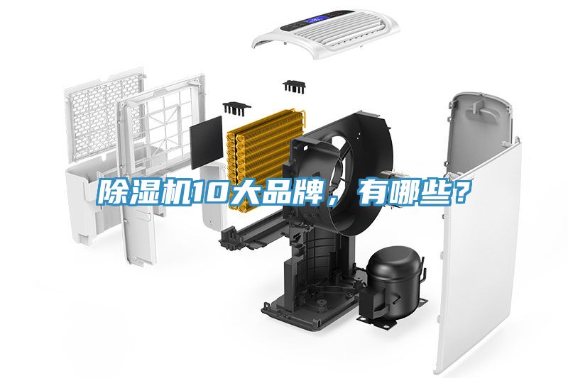 除湿机10大品牌，有哪些？