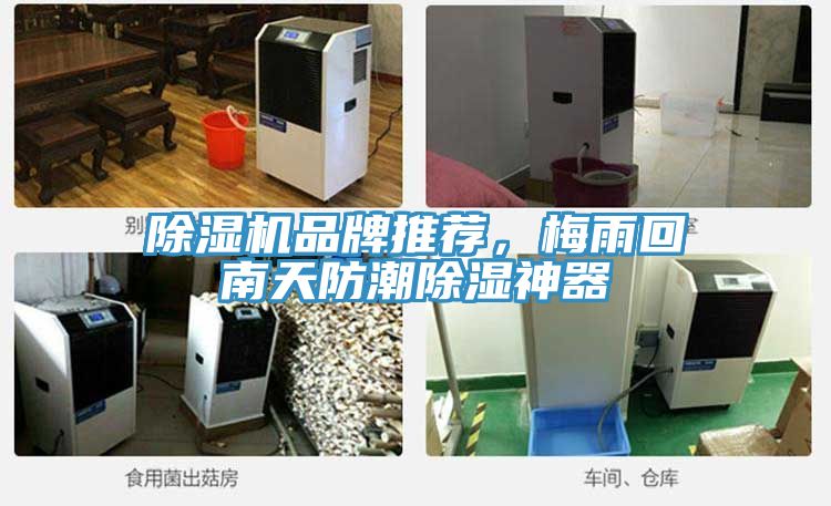 除湿机品牌推荐，梅雨回南天防潮除湿神器