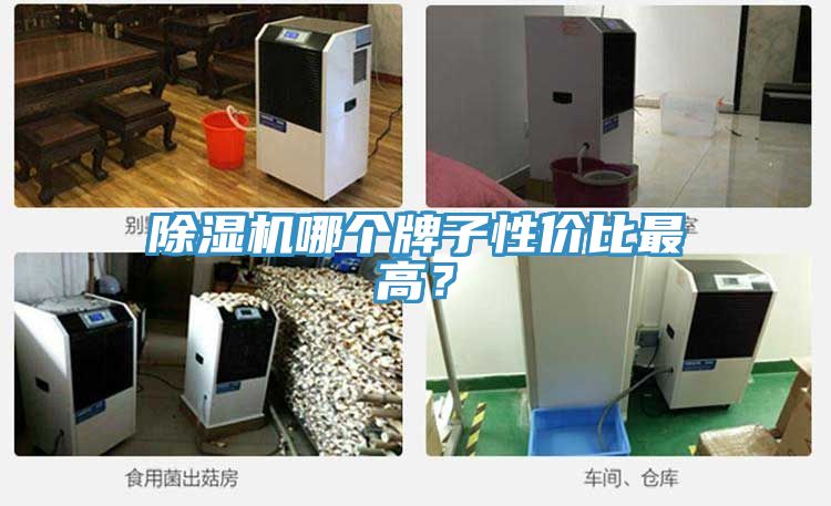 除湿机哪个牌子性价比最高？