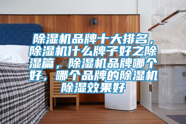 除湿机品牌十大排名，除湿机什么牌子好之除湿篇，除湿机品牌哪个好，哪个品牌的除湿机除湿效果好