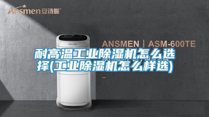 耐高温工业除湿机怎么选择(工业除湿机怎么样选)