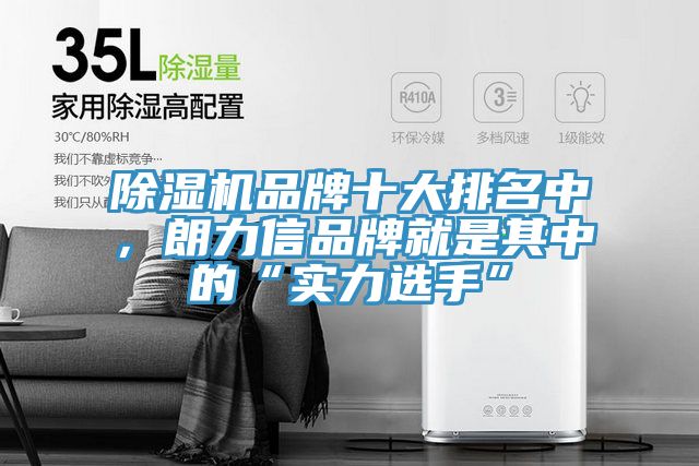 除湿机品牌十大排名中，朗力信品牌就是其中的“实力选手”