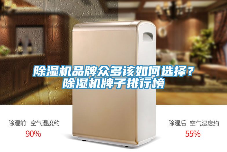 除湿机品牌众多该如何选择？除湿机牌子排行榜