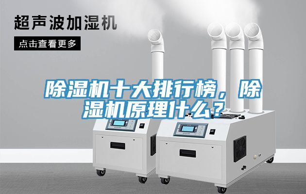 除湿机十大排行榜，除湿机原理什么？