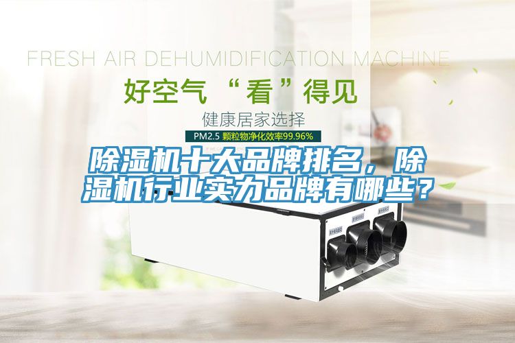 除湿机十大品牌排名，除湿机行业实力品牌有哪些？