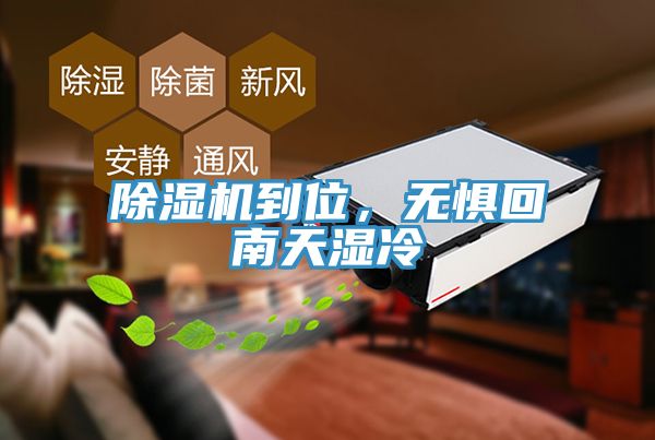 除湿机到位，无惧回南天湿冷