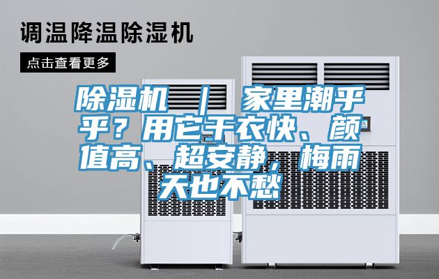 除湿机 ｜ 家里潮乎乎？用它干衣快、颜值高、超安静，梅雨天也不愁