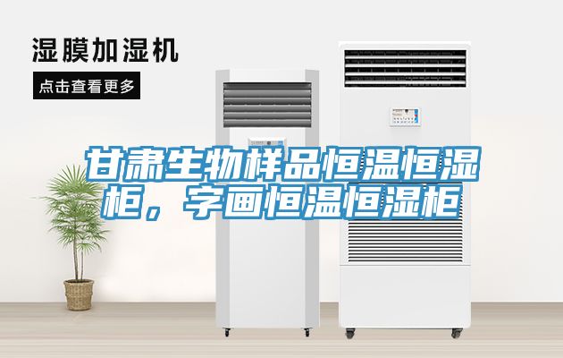 甘肃生物样品恒温恒湿柜，字画恒温恒湿柜
