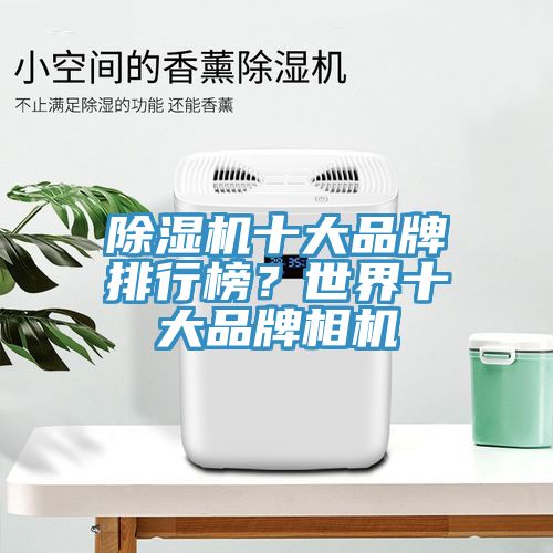 除湿机十大品牌排行榜？世界十大品牌相机