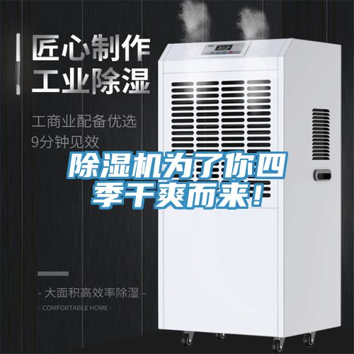 除湿机为了你四季干爽而来！